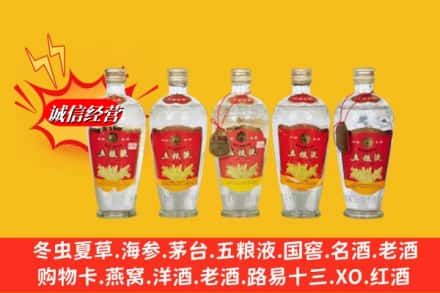 嘉兴市海宁回收老五粮液